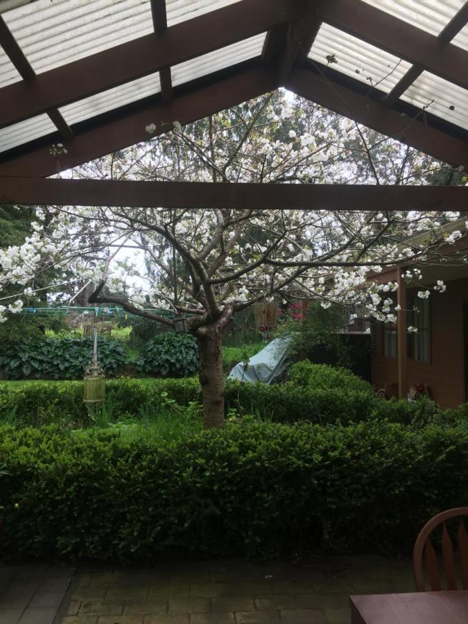 Sherwood Park Bed And Breakfast Somerville Εξωτερικό φωτογραφία