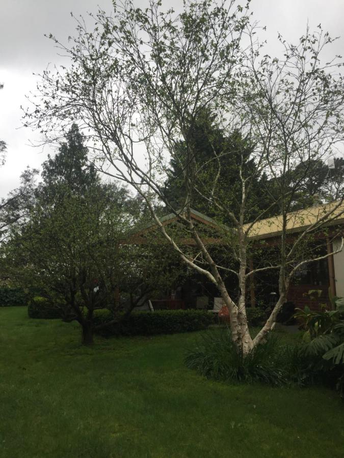 Sherwood Park Bed And Breakfast Somerville Εξωτερικό φωτογραφία