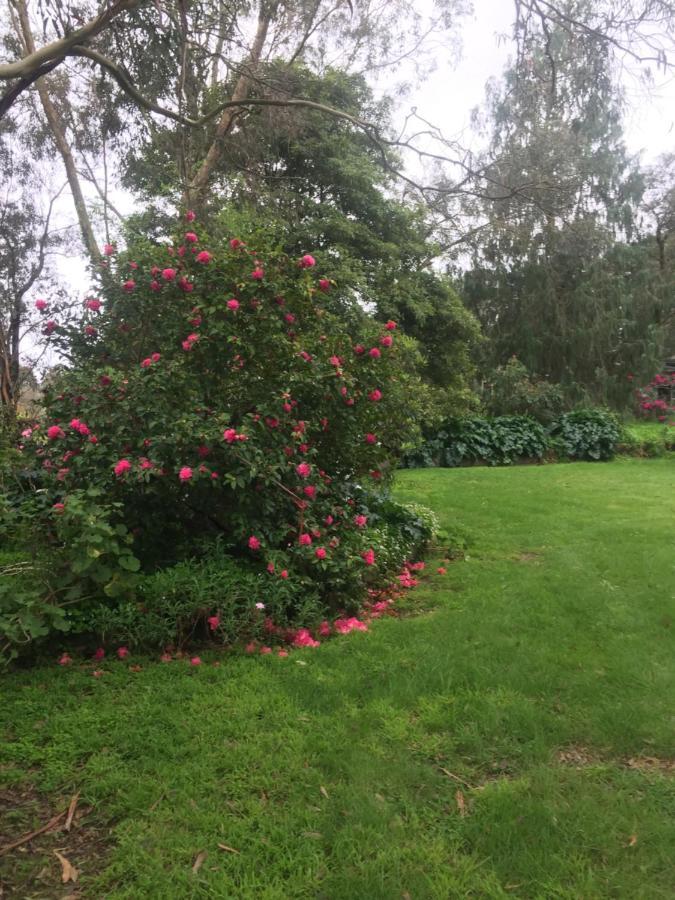Sherwood Park Bed And Breakfast Somerville Εξωτερικό φωτογραφία