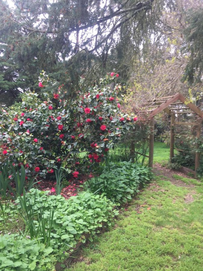 Sherwood Park Bed And Breakfast Somerville Εξωτερικό φωτογραφία