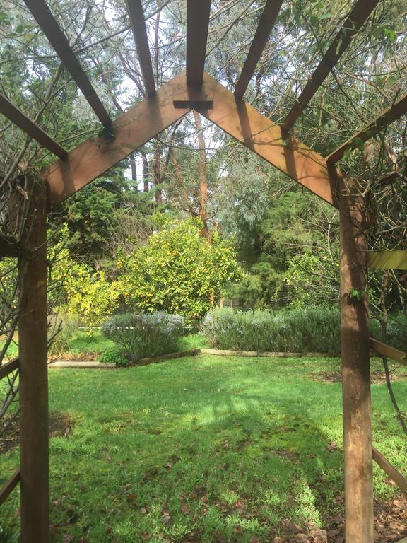 Sherwood Park Bed And Breakfast Somerville Εξωτερικό φωτογραφία