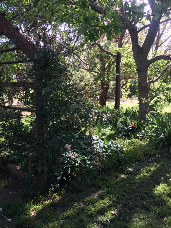 Sherwood Park Bed And Breakfast Somerville Εξωτερικό φωτογραφία